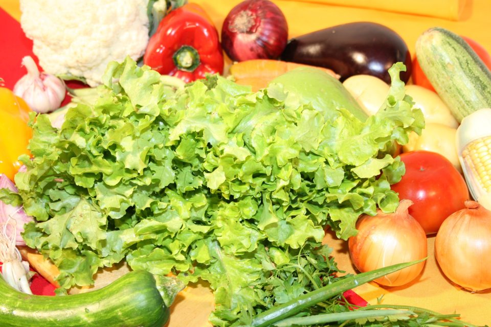 cuisine saine