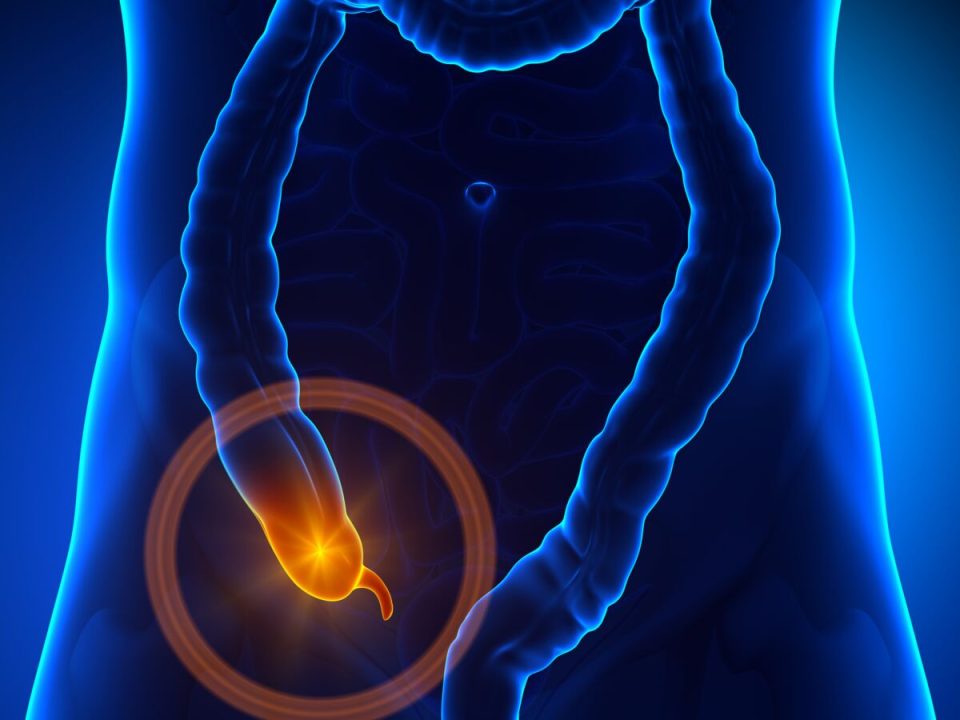 Ablation du gros intestin