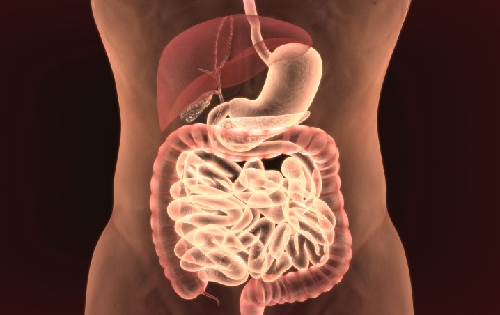 maladie de Crohn