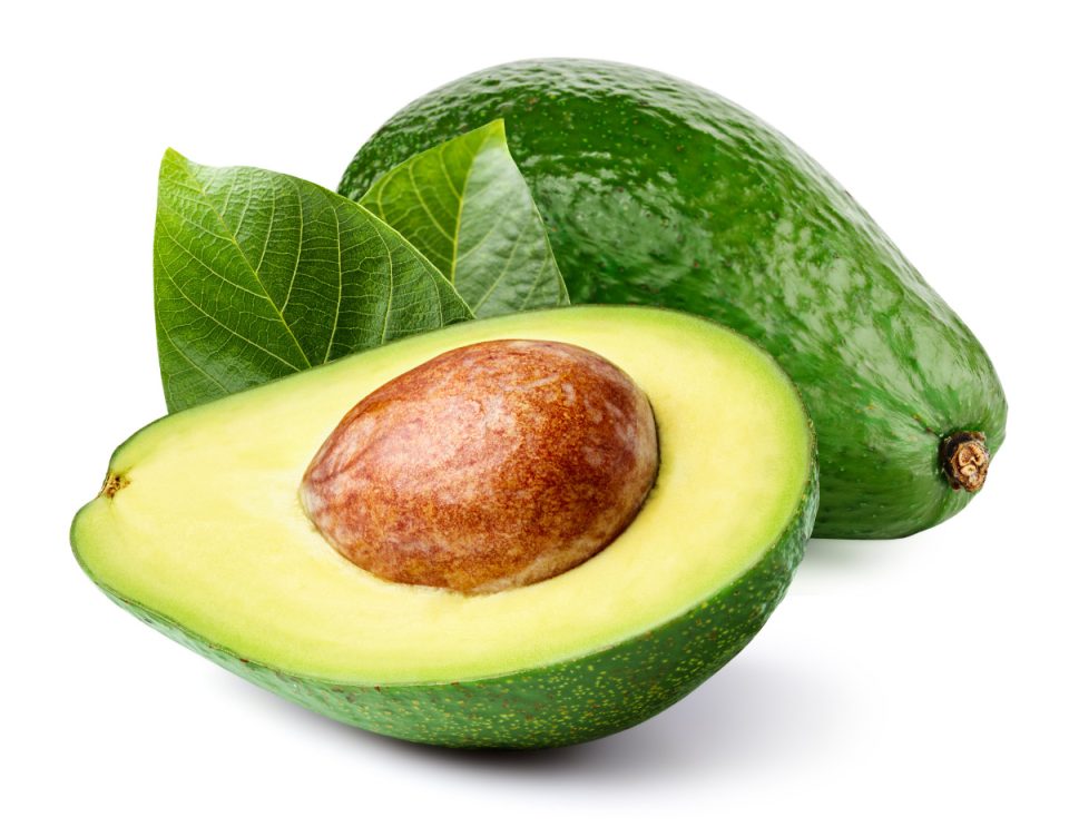 Avocat
