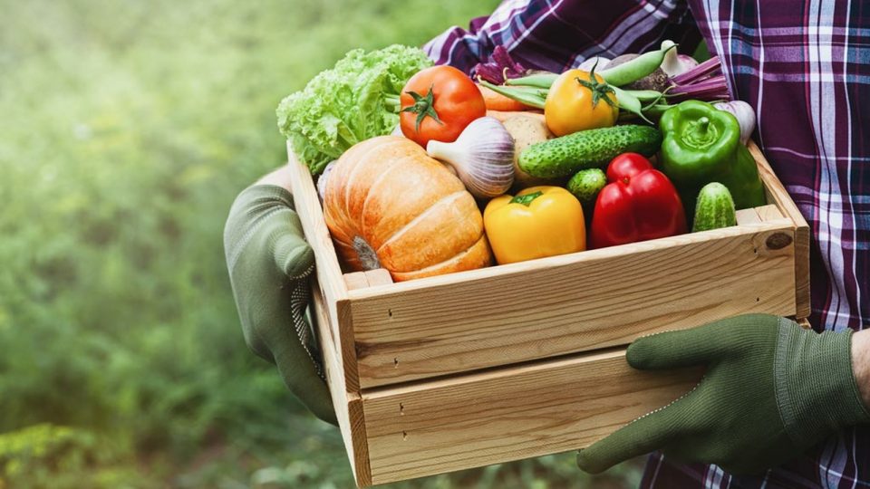 Fruits et légumes