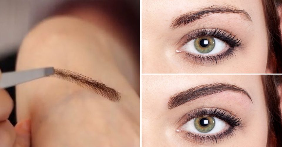 Perruque pour sourcils