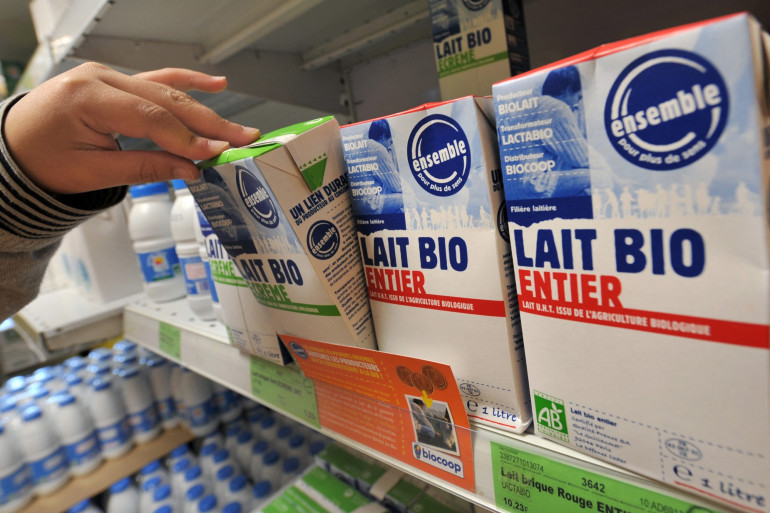briques de lait 