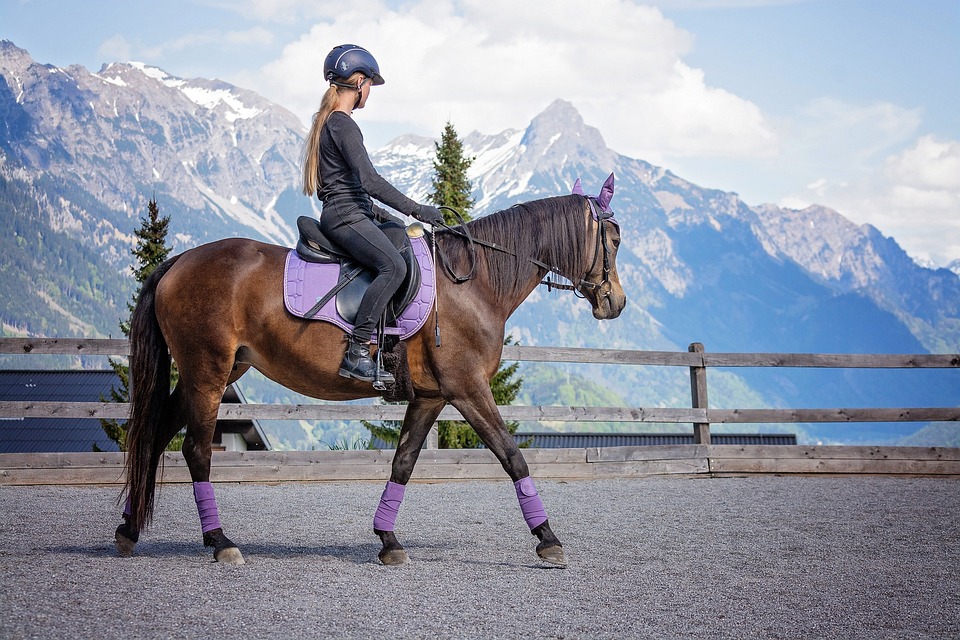 vêtements pour les amoureux de chevaux